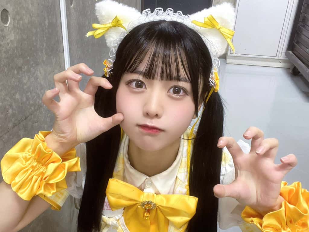 福丸うさ(ふくまる うさ)【きいろ】プロフィール|iLiFE!【あいらいふ】画像